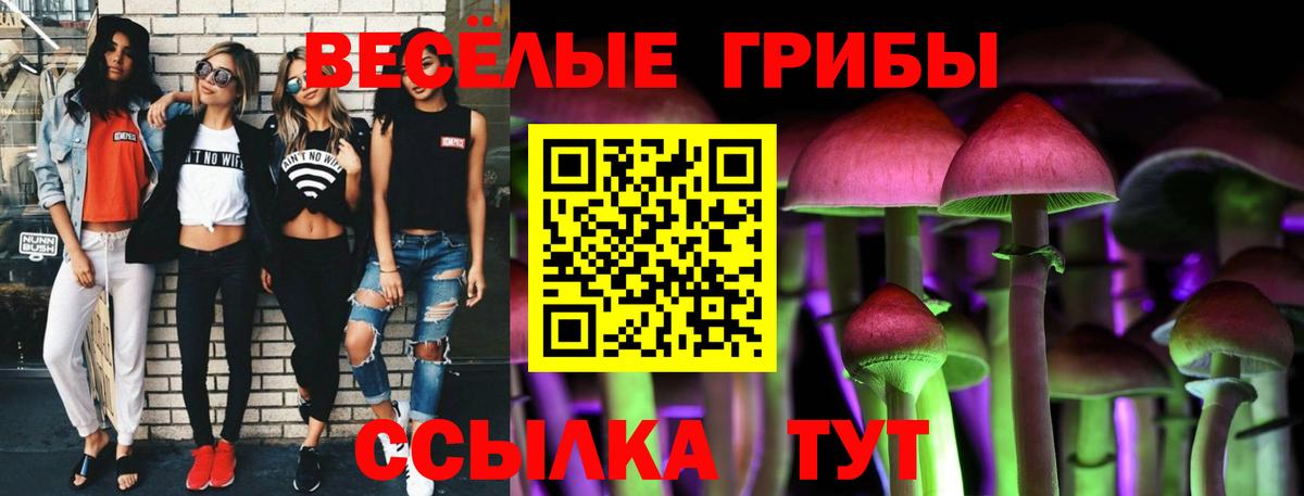 Донецк  Псилоцибиновые грибы Cubensis  Вход с VPN 